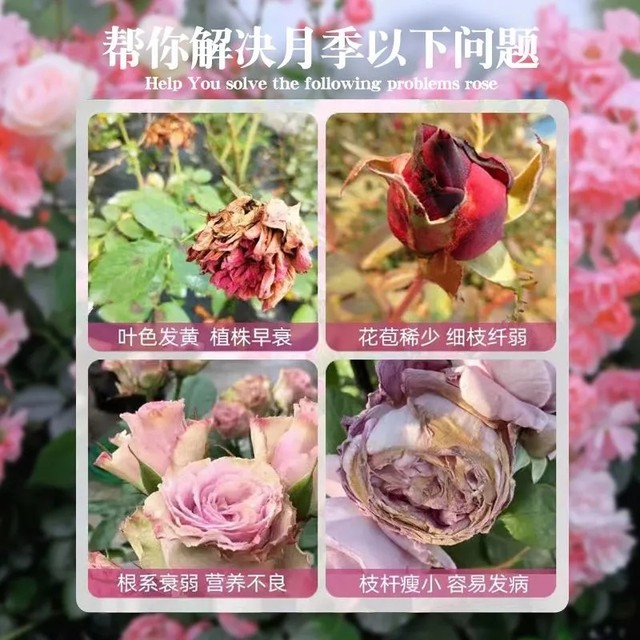 Plant germination rapid raw liquid for potent germination and rooting and seedlings. New home gardening general-purpose concentrated nutrient solution
