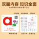 Pinyin card full set of primary school transition primary school first grade Chinese aoe initial vowel alphabet learning teaching aids