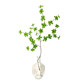 Simulated plant hanging clock Nordic fake green plant horse drunken tree branches living room desktop decoration ornaments home creative vase