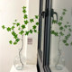 Simulated plant hanging clock Nordic fake green plant horse drunken tree branches living room desktop decoration ornaments home creative vase