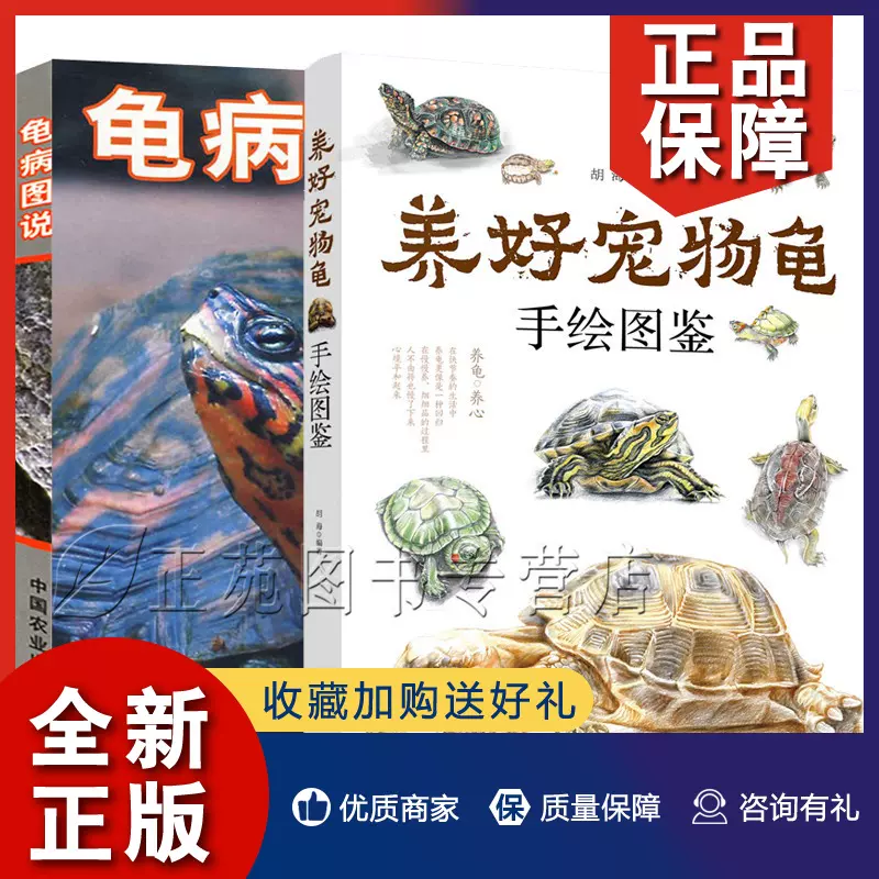 动物乌龟2 新人首单立减十元 21年11月 淘宝海外