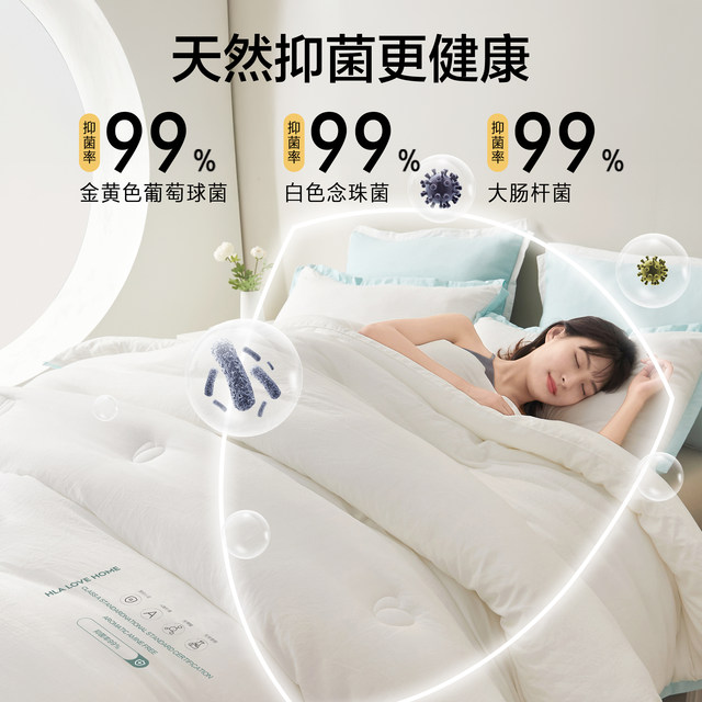 Soybean fiber quilt winter quilt quilt core thickened to keep warm 2025 new spring and autumn quilt single-person space conditioner quilt winter