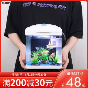 北欧风金鱼 新人首单立减十元 22年3月 淘宝海外