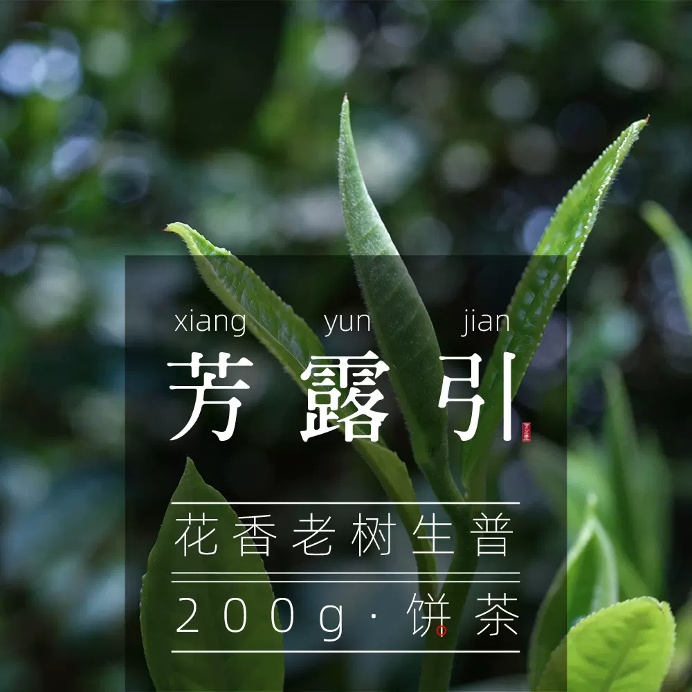 嘉茗 新人首单立减十元 2021年12月 淘宝海外