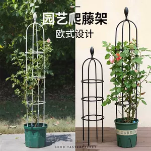 阳台专用葡萄花架 新人首单立减十元 22年3月 淘宝海外