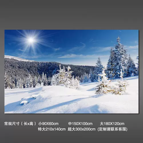 3d壁纸背景墙雪 新人首单立减十元 22年2月 淘宝海外