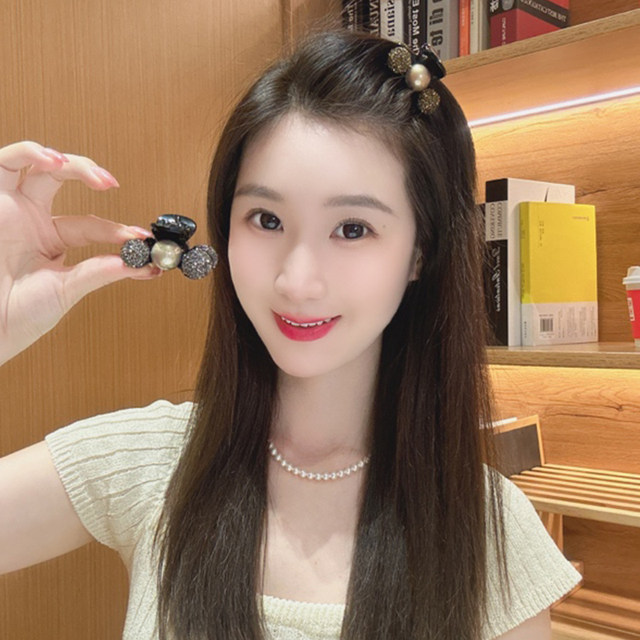 Half-tied hair clip for women 2025 new high-end hair clip back head hair clip headdress small scratch clip small size