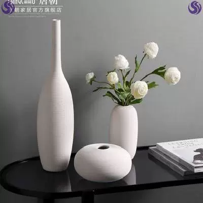 白淘瓷花瓶 新人首单立减十元 22年2月 淘宝海外