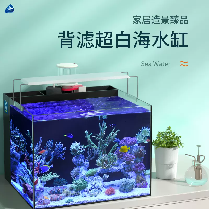 背部过滤海水 新人首单立减十元 21年11月 淘宝海外