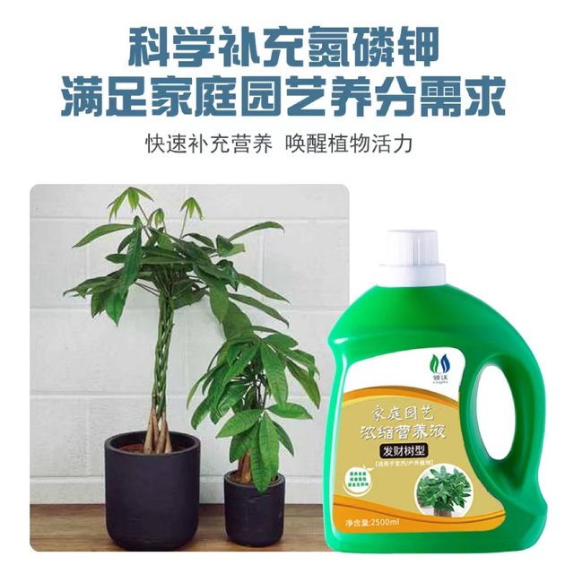 Special for nutritional solution for yellow leaves, dead leaves, rotten roots, plants, special fertilizers, indoor potted green plants, general