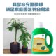 Special for nutritional solution for yellow leaves, dead leaves, rotten roots, plants, special fertilizers, indoor potted green plants, general
