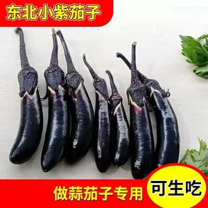 迷你茄子- Top 50件迷你茄子- 2023年5月更新- Taobao