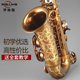 French Rollins saxophone E-flat 9902 alto saxophone instrument for beginners to play universally