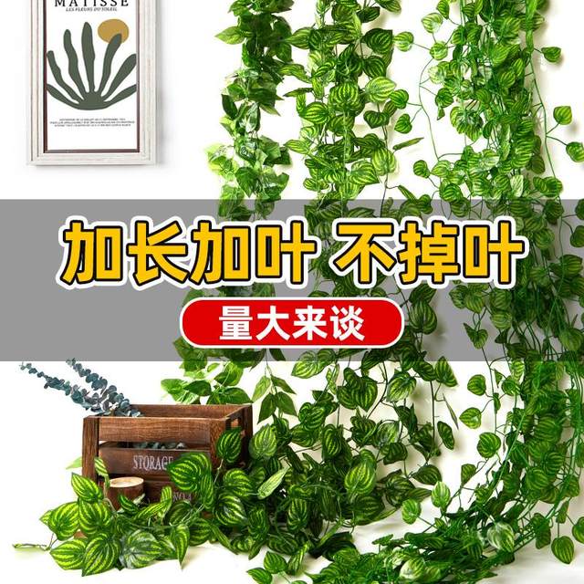 Simulated fake green leaves, rattan flowers, leaves, wires, beautification, air conditioning, heating pipes, water pipes, indoor plastic
