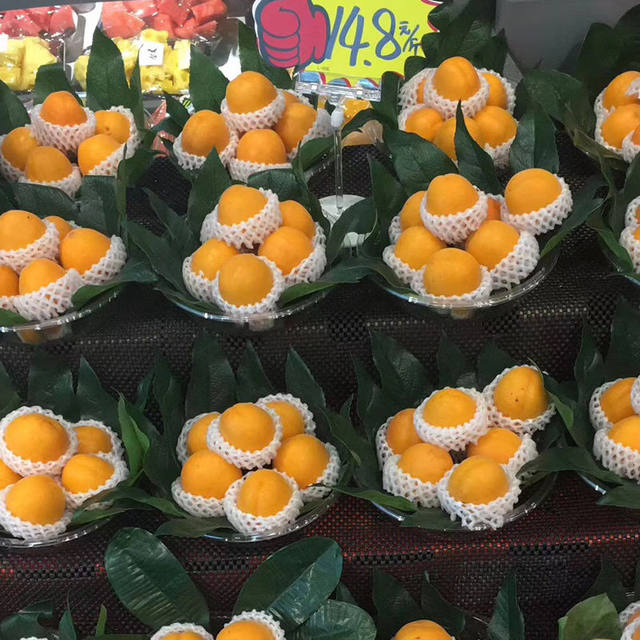 Simulated star anise leaf fruit store decoration fake green leaves gold plate leaves square real leaves size small price plant leaves