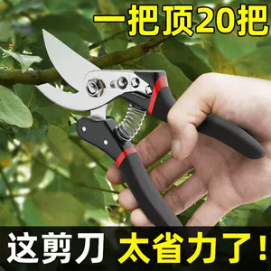 Long-Nose Fruit Scissor