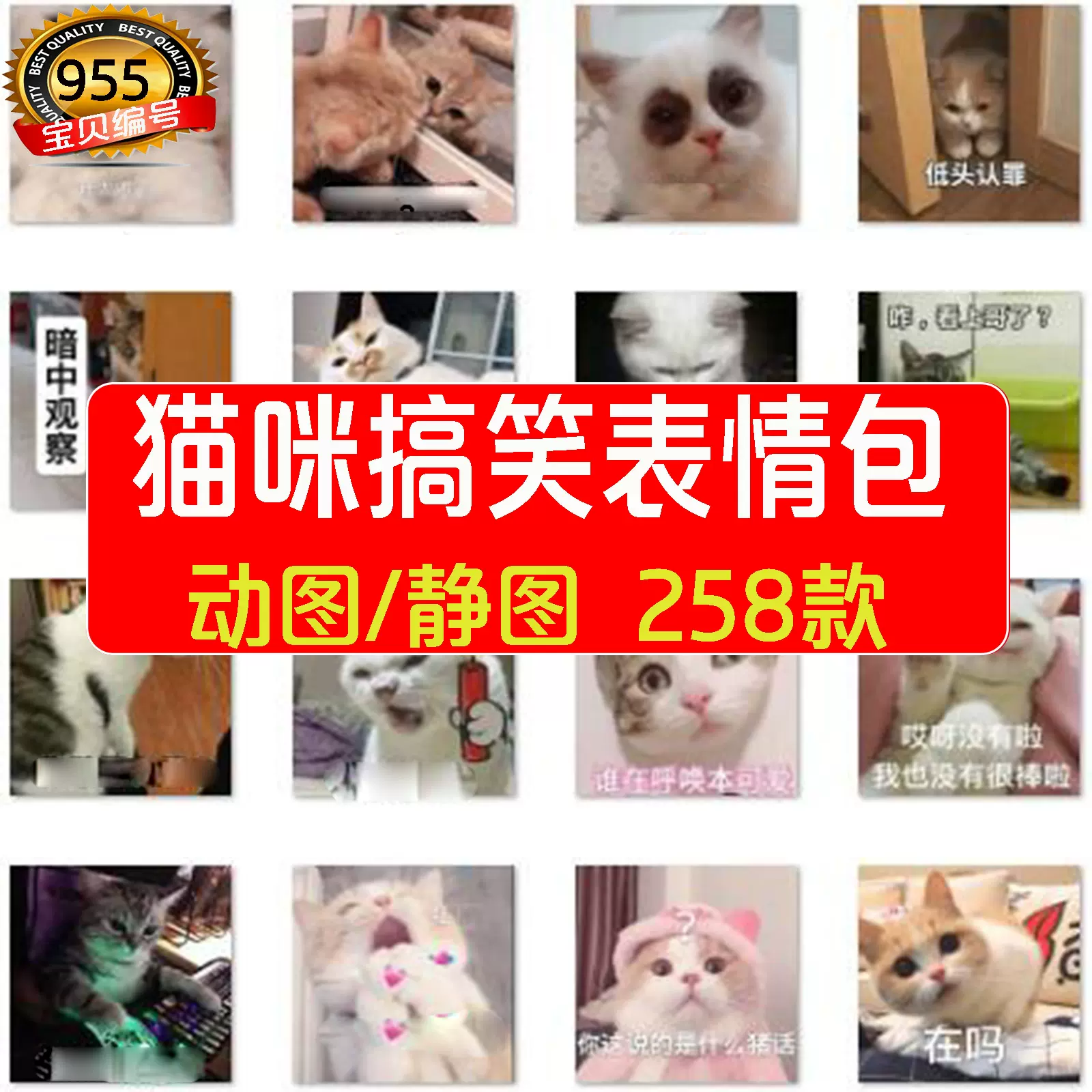 可爱猫猫主人猫咪卖萌沙雕撒娇斗图怼人猫星人动态静态