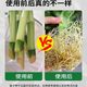 Rapid rooting powder, universal plant nutrient solution, fruit tree cuttings, transplanting rooting liquid, vegetable and flower fertilizer