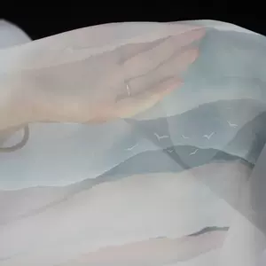 半透明卷轴画 新人首单立减十元 22年3月 淘宝海外