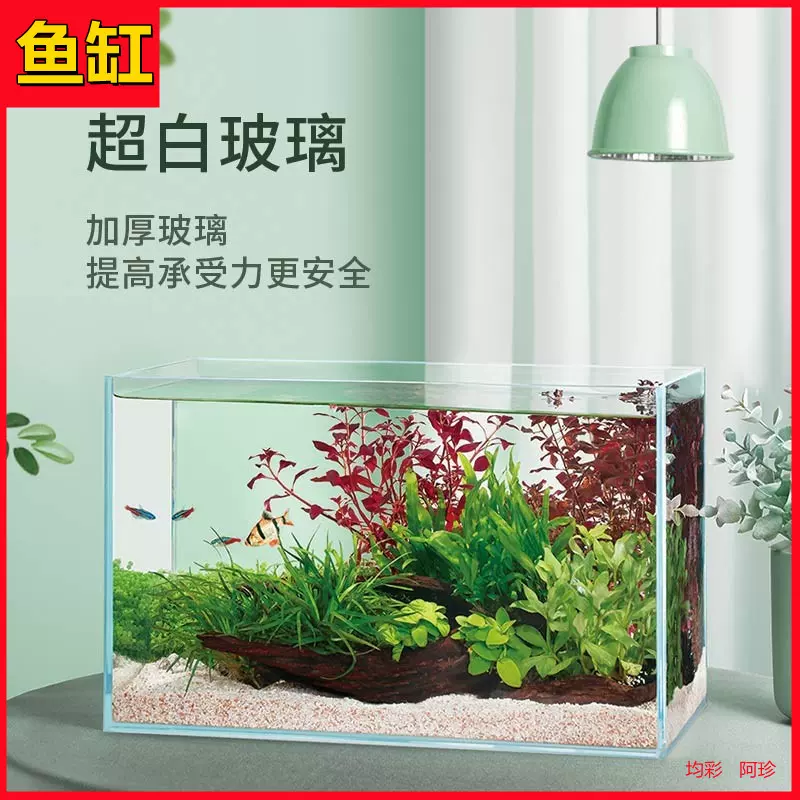 超白鱼缸玻璃懒人养鱼水草缸桌面客厅生态小型斗鱼