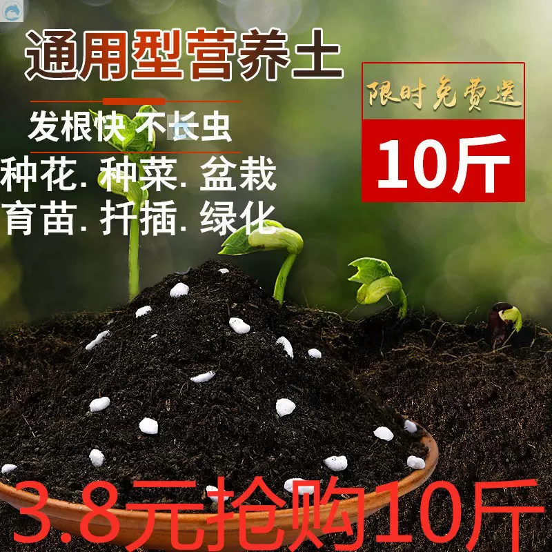 盆栽花肥料 新人首单立减十元 21年12月 淘宝海外