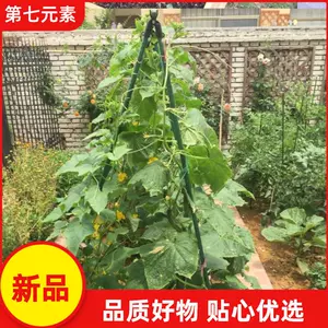简易瓜棚架 新人首单立减十元 22年4月 淘宝海外