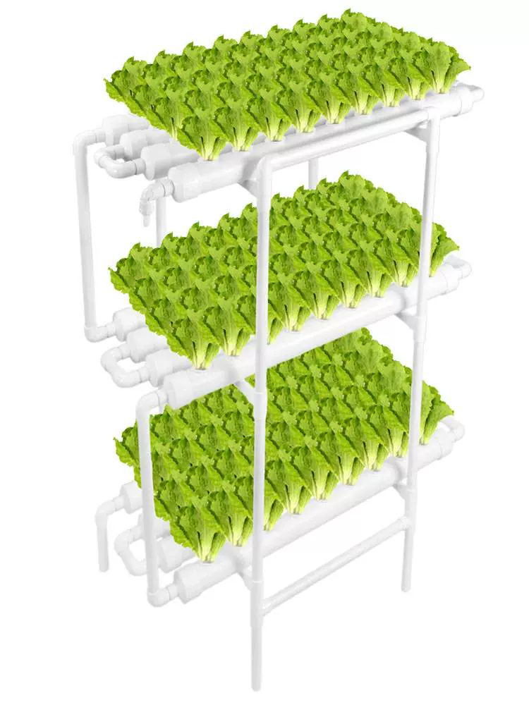 水菜种 新人首单立减十元 21年11月 淘宝海外