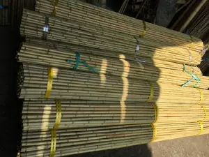 花坛角 新人首单立减十元 22年6月 淘宝海外