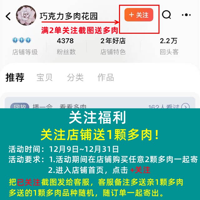 High-quality succulent plants, expensive goods, succulent small potted plants, good for lazy people, new flowers, new products, succulent wheat straw queen ice soul