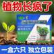 Plant regeneration and resurrection, small pole flower potted plant home gardening general concentrated plant regeneration agent nutrition solution