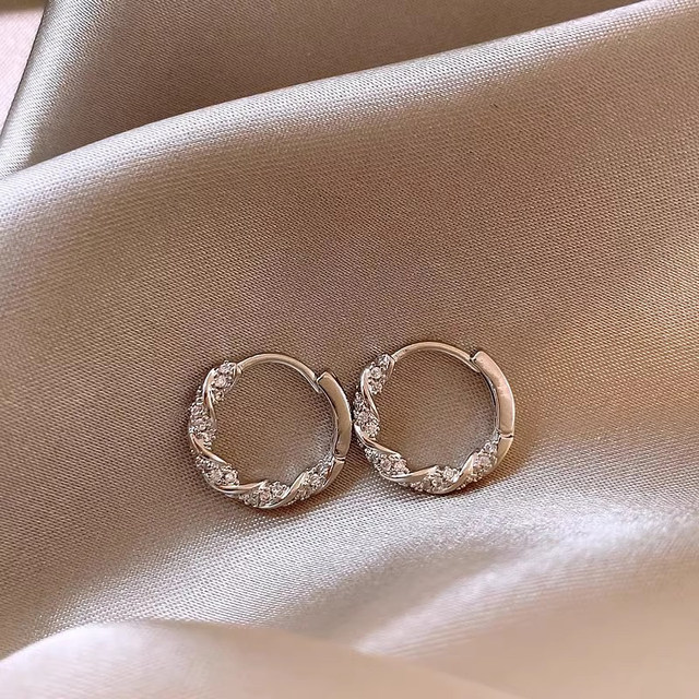 s925 sterling silver earrings 2024 new hot niche unique earrings for women high-end ear buckle plain earrings