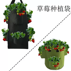 植物栽培袋 Top 46件植物栽培袋 22年11月更新 Taobao