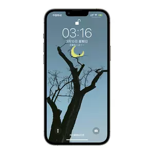 手机ipad壁纸 新人首单立减十元 22年7月 淘宝海外