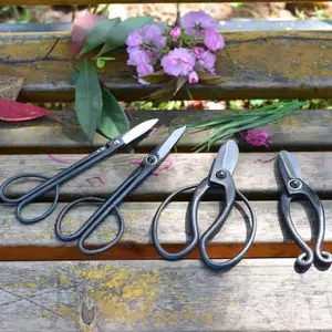 金田小枝切剪 新人首单立减十元 22年6月 淘宝海外