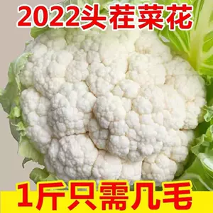 五花菜 新人首单立减十元 22年6月 淘宝海外