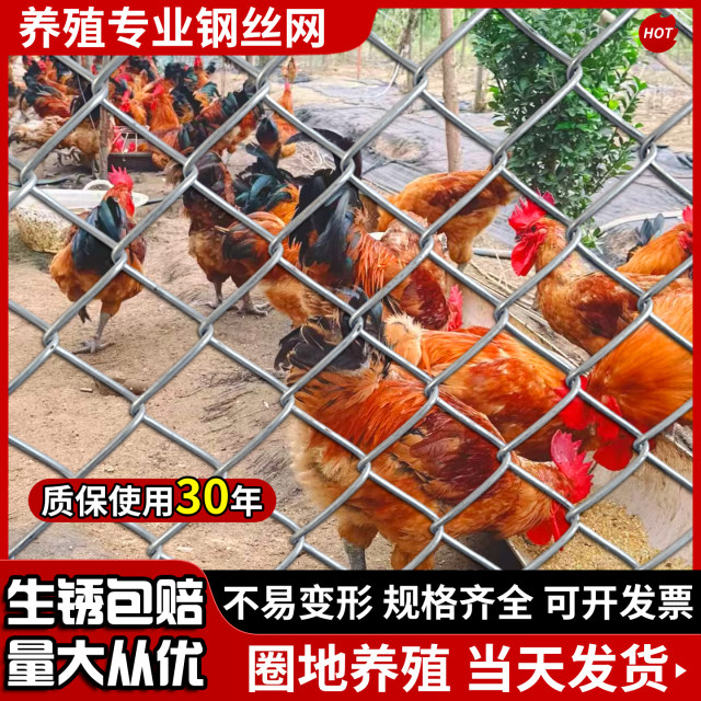 Galvanized wire mesh steel wire mesh fence fence outdoor guardrail net household breeding cattle and sheep chicken net vegetable garden protection