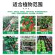 Vegetable fertilizer nutrition solution special organic fertilizer household balcony fruits, vegetables, melons, and vegetables potted vegetables general flower fertilizer