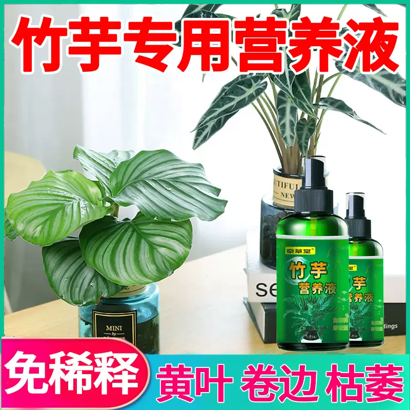 竹芋专用复合肥料有机营养液盆栽植物紫背通用型青苹果