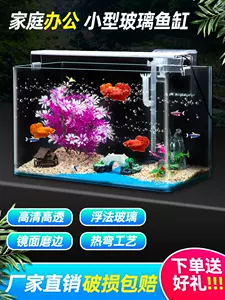 家用金鱼草 新人首单立减十元 22年6月 淘宝海外