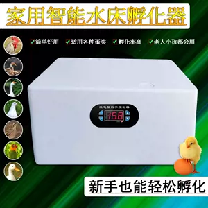 小型孵蛋器- Top 1万件小型孵蛋器- 2023年11月更新- Taobao