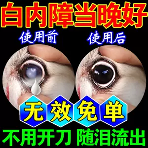 狗狗白内障 新人首单立减十元 22年8月 淘宝海外