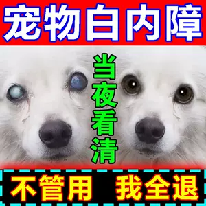 狗白内障药水 新人首单立减十元 22年8月 淘宝海外