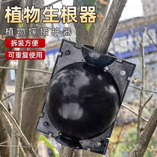High-pressure plant grafting propagation box fruit tree branch seedling grafting box grafting box transplant household long strip seedling bag
