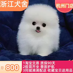 博美犬杯子 Top 49件博美犬杯子 22年11月更新 Taobao