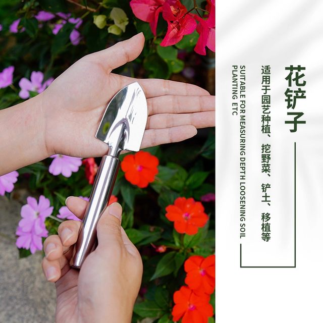 Cauliflower shovel gardening tool mini set outdoor shovel balcony potted stainless steel household loose soil rake