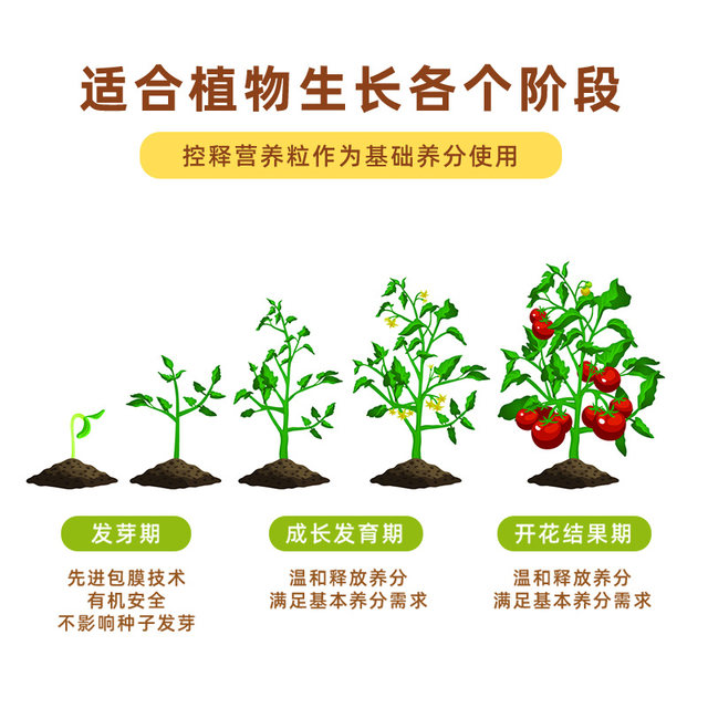 Flower fertilizer valley succulent fertilizer slow-release nutrient granules for household flowers and green plants nitrogen, phosphorus and potassium long-acting compound controlled-release fertilizer