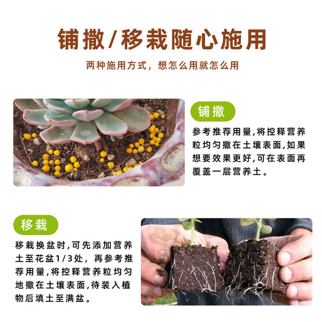Flower fertilizer valley succulent fertilizer slow-release nutrient granules for household flowers and green plants nitrogen, phosphorus and potassium long-acting compound controlled-release fertilizer