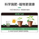 Home gardening ferrous sulfate water-soluble acid fertilizer yellow leaf general gardenia plant flower special flower fertilizer