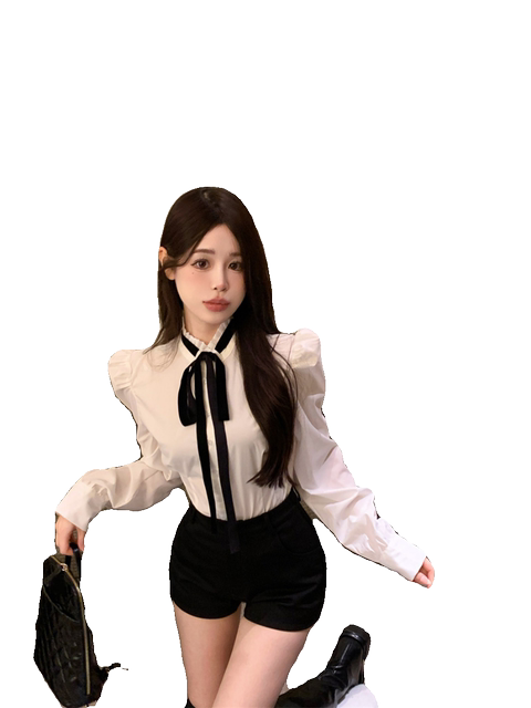 French stand-up collar white long-sleeved shirt for women in autumn and winter waist-hugging unique slim fit and slim shirt design niche top
