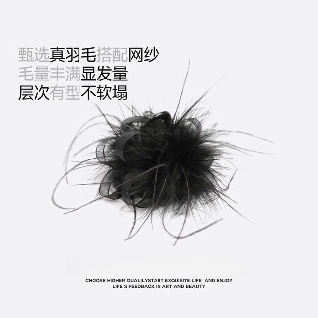 High ponytail fixed artifact black feather gripper female high-end 2025 new hairpin shark clip on the back of the head
